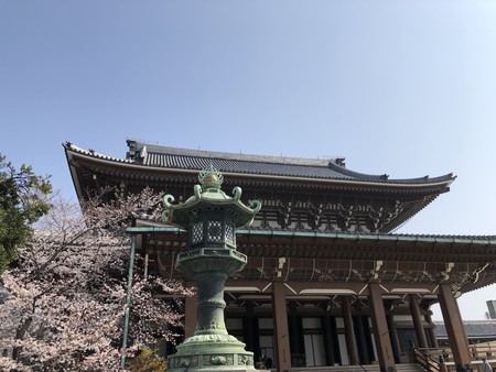 f:id:bennybebad:20190406093046j:plain