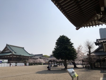 f:id:bennybebad:20190406093303j:plain