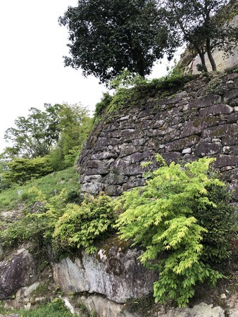 f:id:bennybebad:20190509093628j:plain
