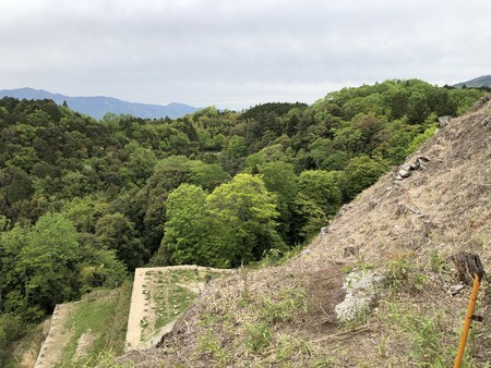f:id:bennybebad:20190509095507j:plain