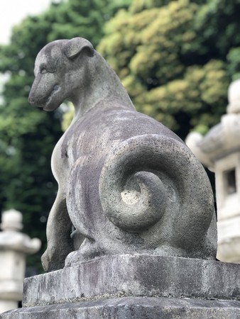f:id:bennybebad:20190519111410j:plain f:id:bennybebad:20190519111410j:plain