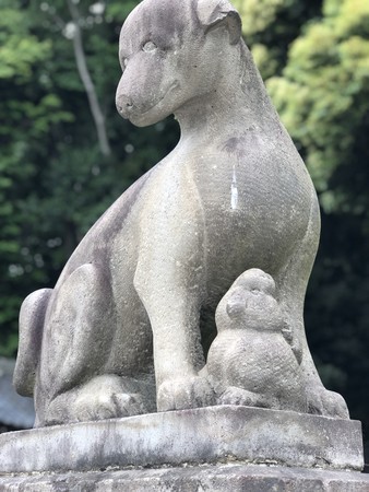 f:id:bennybebad:20190519111426j:plain f:id:bennybebad:20190519111426j:plain