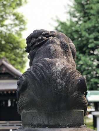 f:id:bennybebad:20190519155240j:plain f:id:bennybebad:20190519155240j:plain
