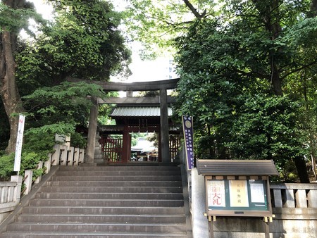 f:id:bennybebad:20190519160356j:plain f:id:bennybebad:20190519160356j:plain