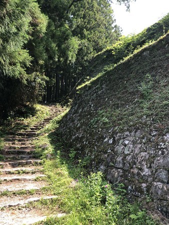 f:id:bennybebad:20190620094009j:plain f:id:bennybebad:20190620094009j:plain