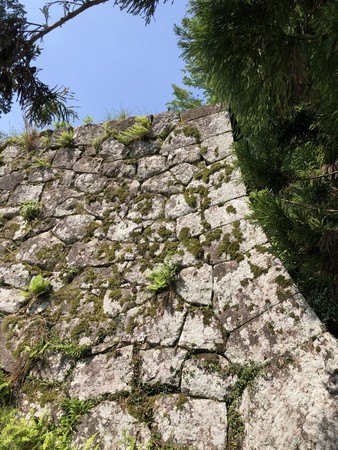 f:id:bennybebad:20190620094205j:plain f:id:bennybebad:20190620094205j:plain