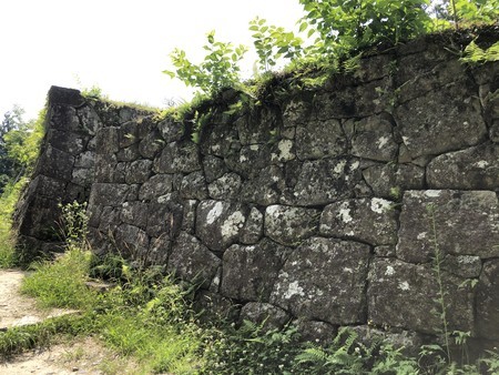 f:id:bennybebad:20190620094218j:plain f:id:bennybebad:20190620094218j:plain