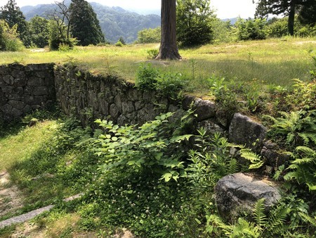 f:id:bennybebad:20190620094331j:plain f:id:bennybebad:20190620094331j:plain
