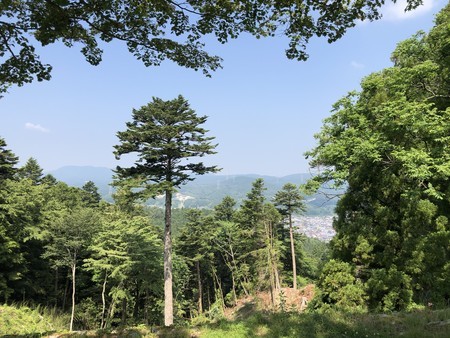 f:id:bennybebad:20190620094406j:plain f:id:bennybebad:20190620094406j:plain