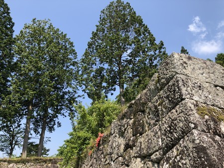 f:id:bennybebad:20190620094649j:plain f:id:bennybebad:20190620094649j:plain