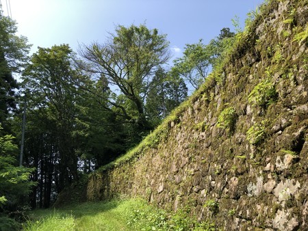 f:id:bennybebad:20190620094958j:plain f:id:bennybebad:20190620094958j:plain