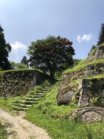 f:id:bennybebad:20190620095419j:plain f:id:bennybebad:20190620095419j:plain