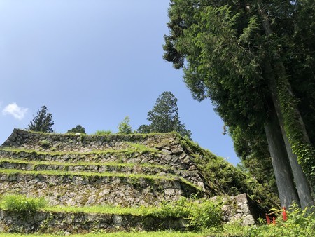 f:id:bennybebad:20190620095442j:plain f:id:bennybebad:20190620095442j:plain