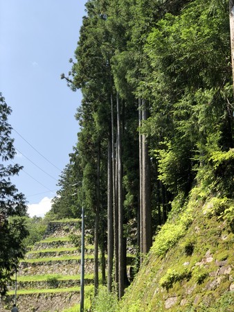 f:id:bennybebad:20190620095603j:plain f:id:bennybebad:20190620095603j:plain