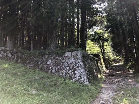 f:id:bennybebad:20190620095851j:plain f:id:bennybebad:20190620095851j:plain