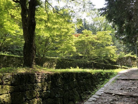 f:id:bennybebad:20190620100535j:plain f:id:bennybebad:20190620100535j:plain