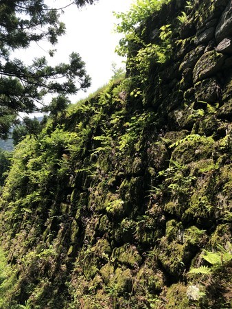 f:id:bennybebad:20190620101207j:plain f:id:bennybebad:20190620101207j:plain