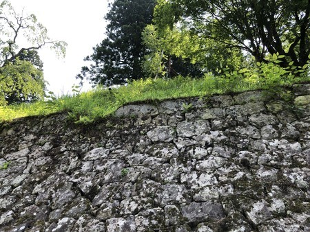 f:id:bennybebad:20190620101421j:plain f:id:bennybebad:20190620101421j:plain