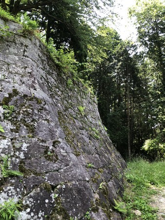 f:id:bennybebad:20190620101435j:plain f:id:bennybebad:20190620101435j:plain