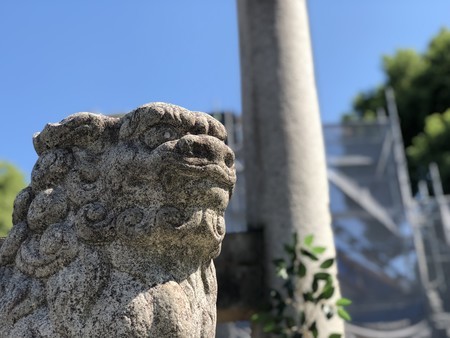 f:id:bennybebad:20190810090504j:plain