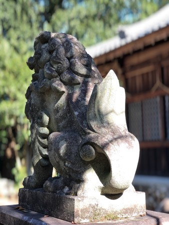 f:id:bennybebad:20191110120005j:plain