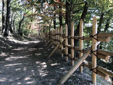 f:id:bennybebad:20191110122230j:plain