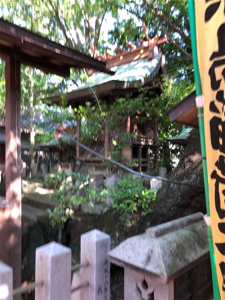 f:id:bennybebad:20220524225701j:image
