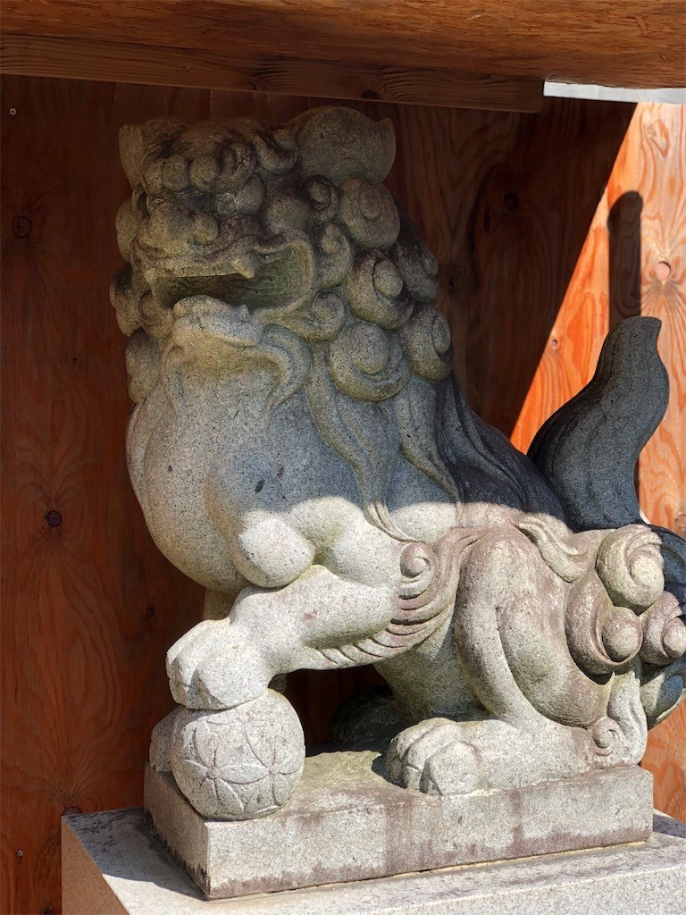 f:id:bennybebad:20221212233405j:image f:id:bennybebad:20221212233405j:image