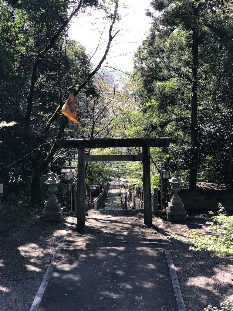 f:id:bennybebad:20221212233408j:image f:id:bennybebad:20221212233408j:image