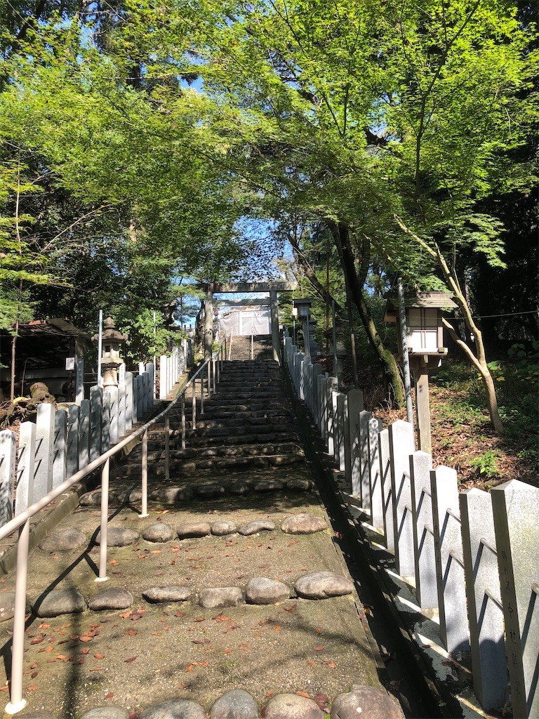 f:id:bennybebad:20221212233411j:image f:id:bennybebad:20221212233411j:image