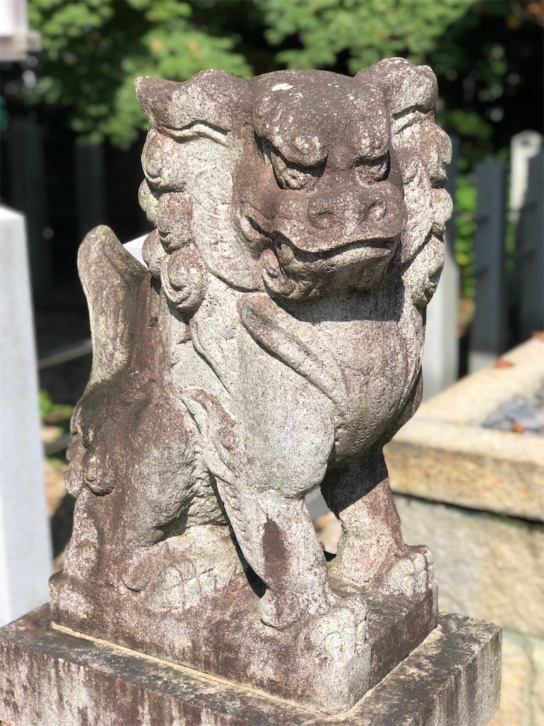 f:id:bennybebad:20221212233425j:image f:id:bennybebad:20221212233425j:image