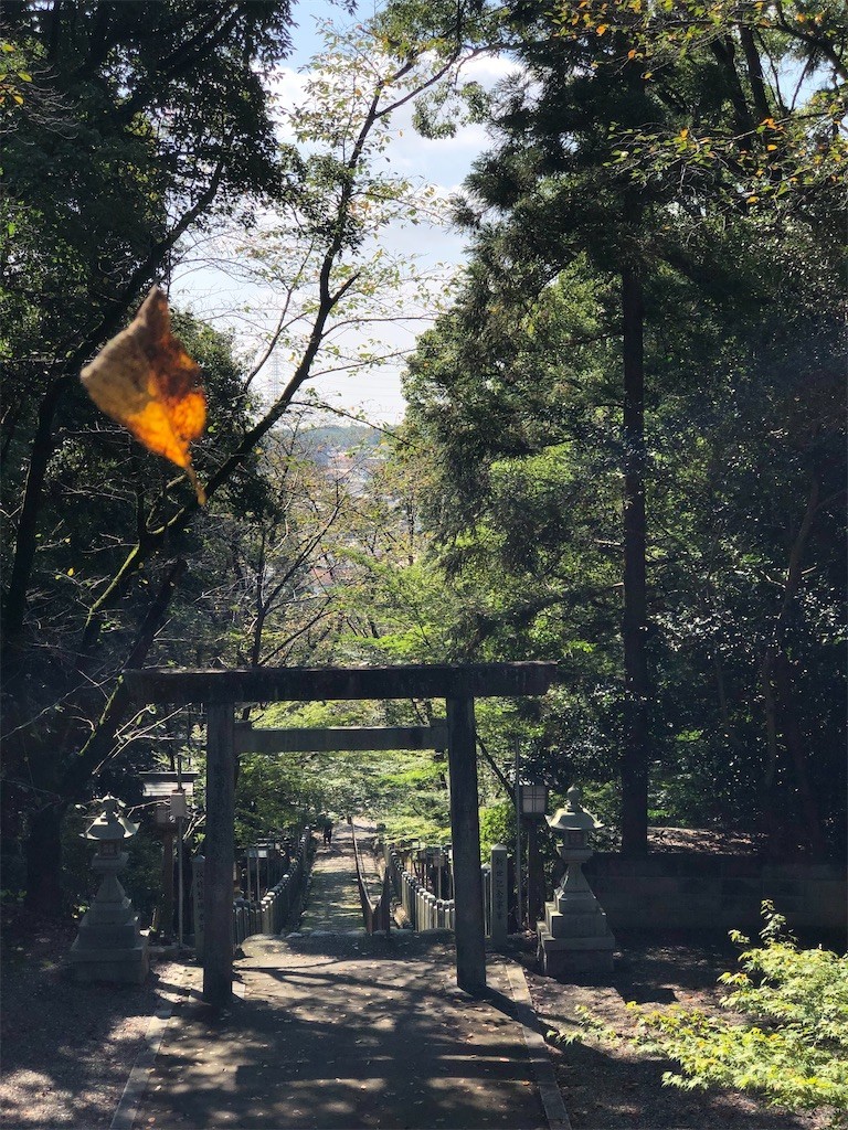 f:id:bennybebad:20221212233442j:image f:id:bennybebad:20221212233442j:image