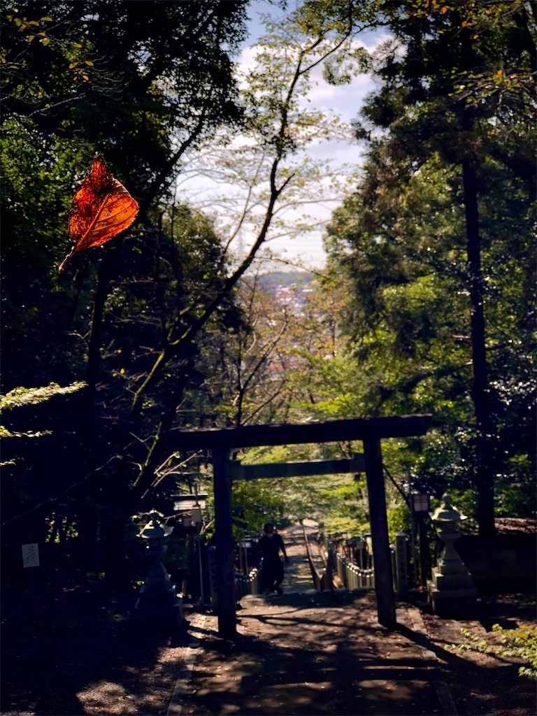 f:id:bennybebad:20221212233451j:image f:id:bennybebad:20221212233451j:image