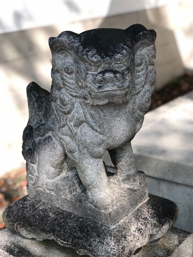 f:id:bennybebad:20221212233456j:image f:id:bennybebad:20221212233456j:image