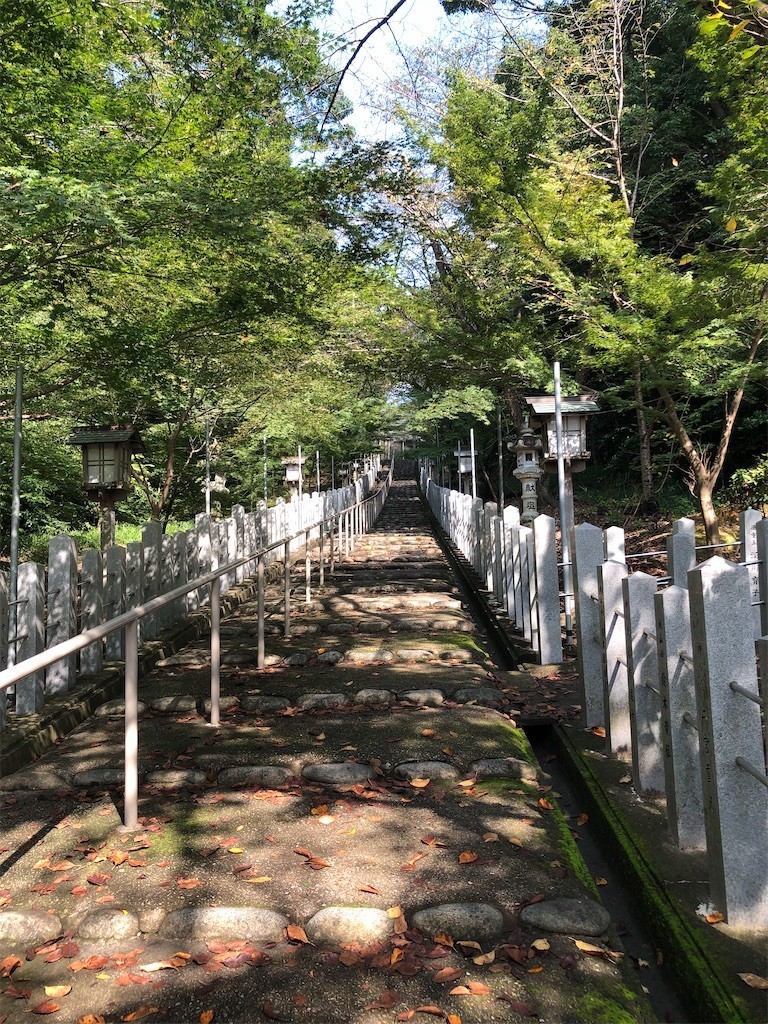 f:id:bennybebad:20221212233545j:image f:id:bennybebad:20221212233545j:image