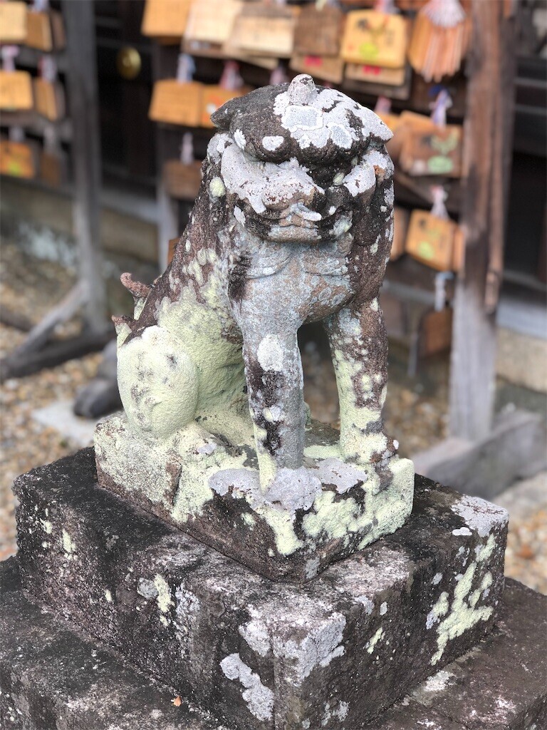 f:id:bennybebad:20230213221027j:image