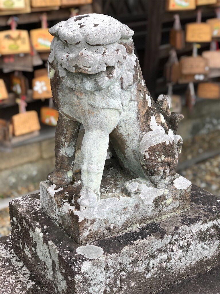 f:id:bennybebad:20230213221034j:image