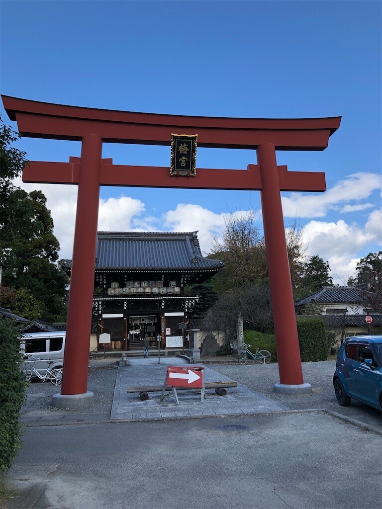 f:id:bennybebad:20230213221102j:image