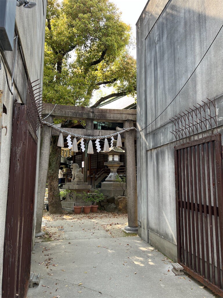 f:id:bennybebad:20230830212839j:image