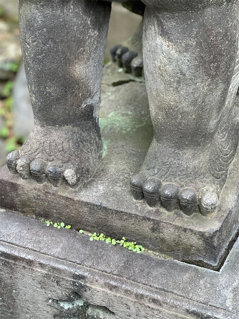 f:id:bennybebad:20231004214230j:image