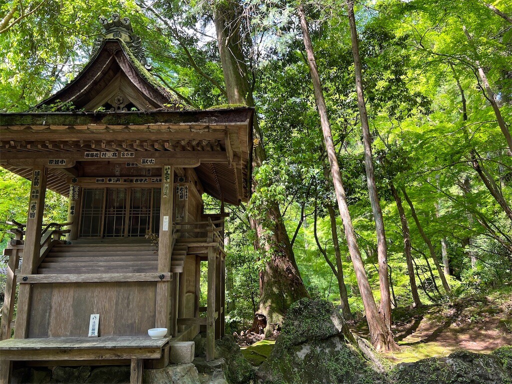 f:id:bennybebad:20231028221649j:image f:id:bennybebad:20231028221649j:image