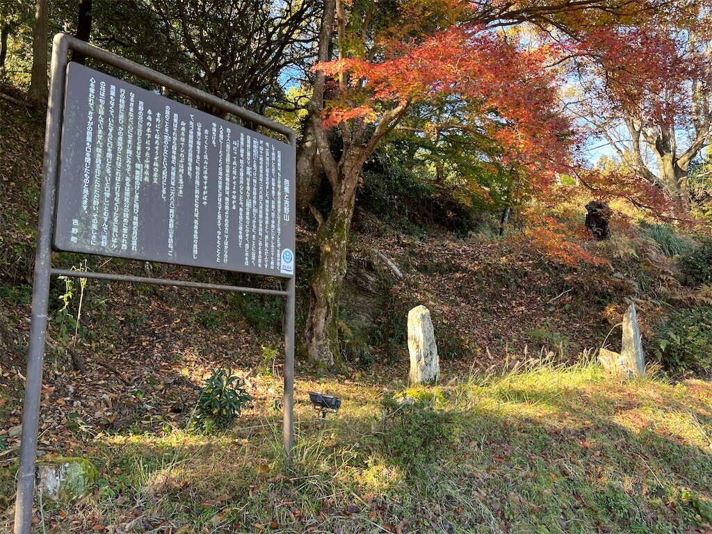 f:id:bennybebad:20240305222014j:image