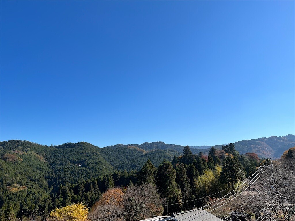 f:id:bennybebad:20240311224022j:image