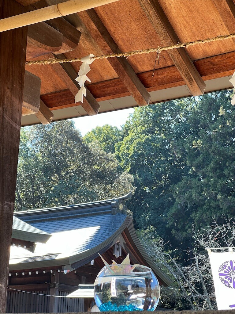 f:id:bennybebad:20240311224230j:image