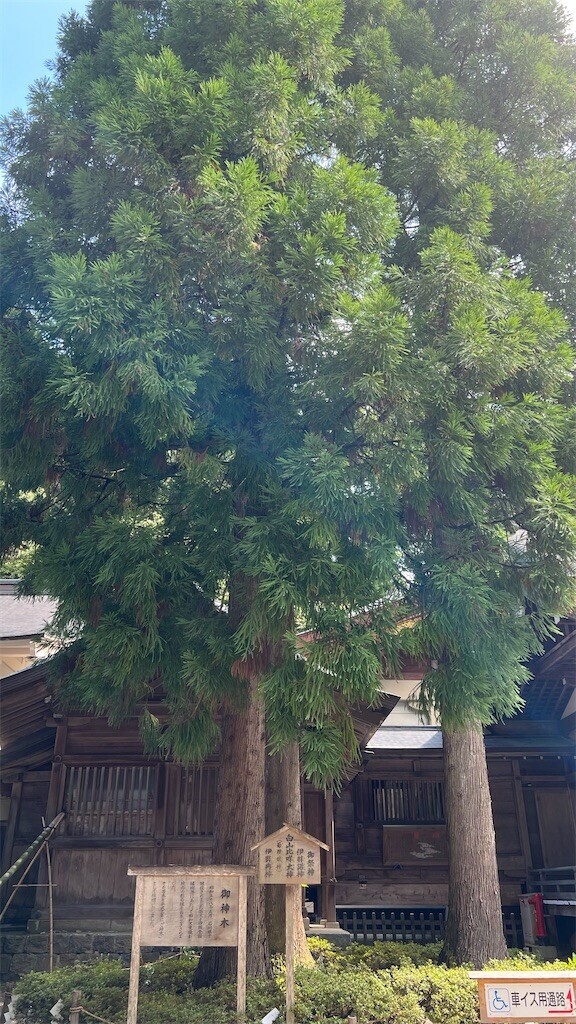 f:id:bennybebad:20241015211235j:image