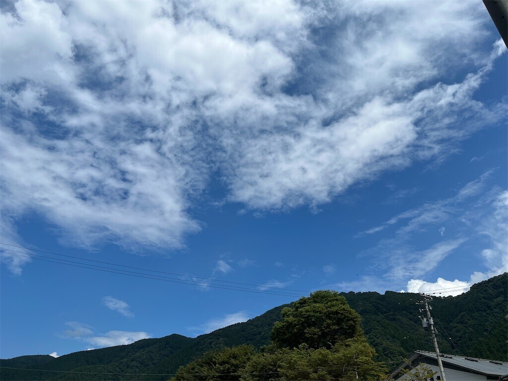 f:id:bennybebad:20241015211417j:image