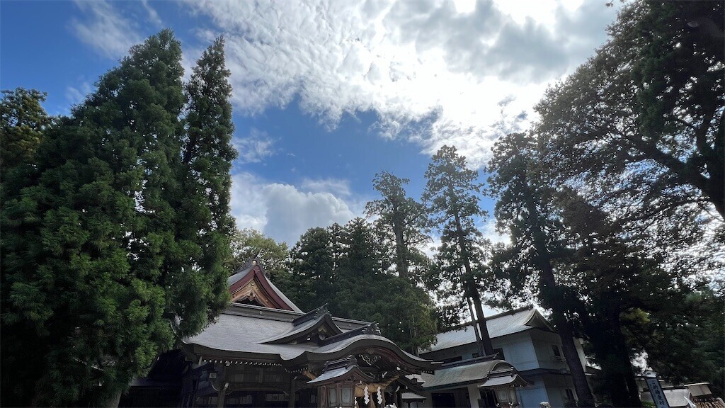 f:id:bennybebad:20241015211428j:image