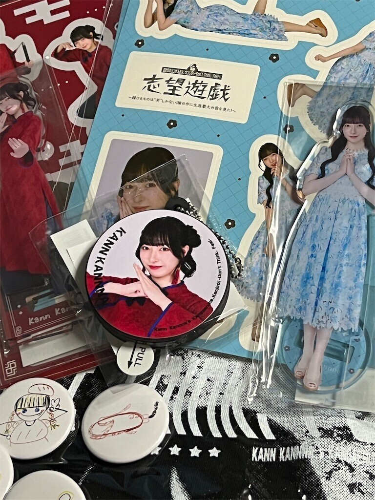 f:id:bennybebad:20250420191252j:image