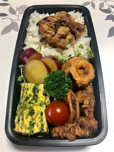 f:id:bento-hajime:20190604074821j:image