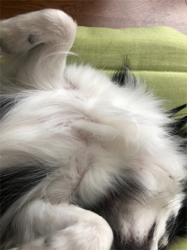 f:id:bento-hajime:20190803082230j:image f:id:bento-hajime:20190803082230j:image